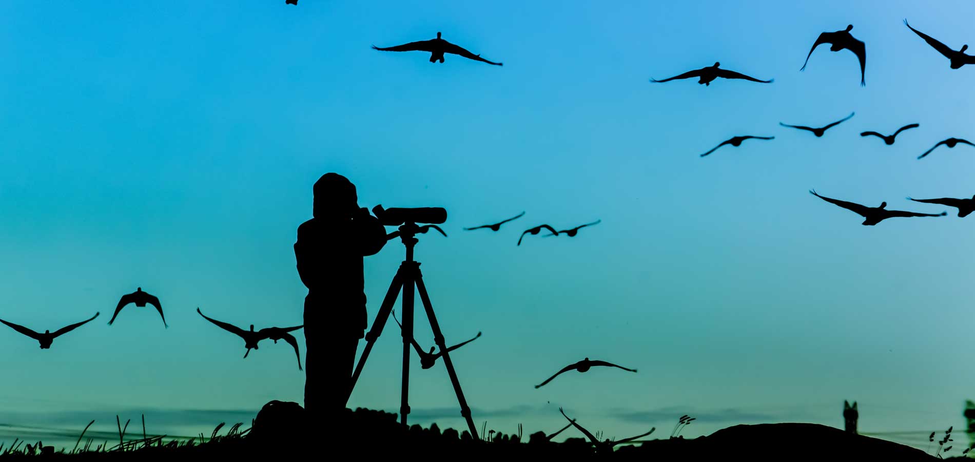 Stay With Us and Enjoy The Great Outdoors of Kentucy