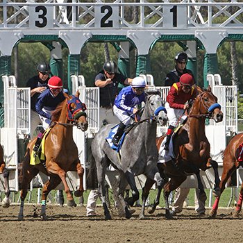 Henderson, KY Attractions