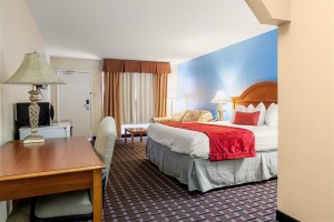 Deluxe Non Smoking King